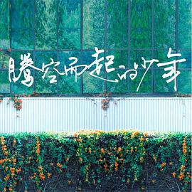 腾空而起的少年封面图