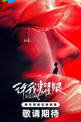 许我耀眼封面图