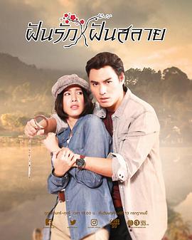 情深缘浅封面图