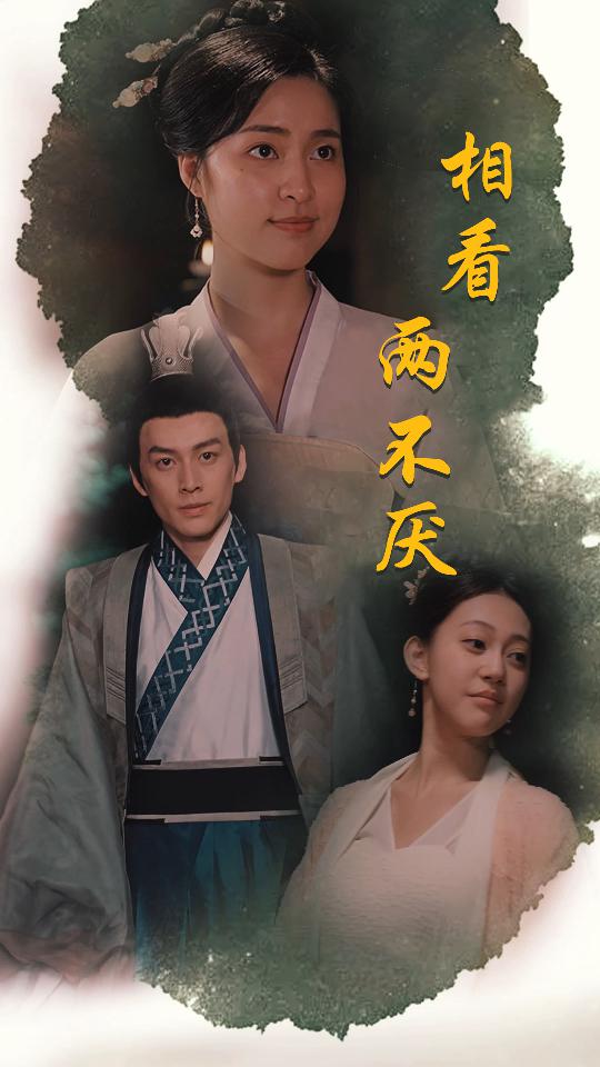 相看两不厌封面图