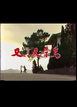 又见天堂鸟封面图