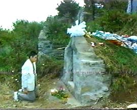 复活仇杀封面图