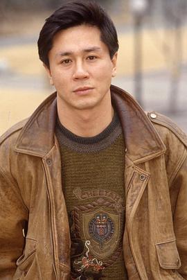 野望的岁月封面图