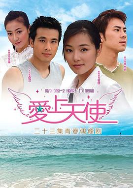 爱上天使封面图