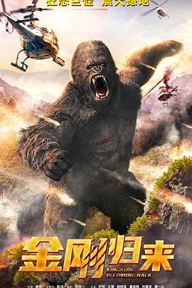 金刚归来封面图