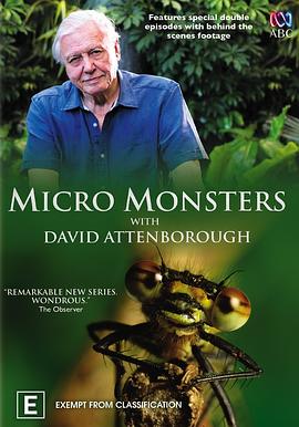 微型猛兽封面图