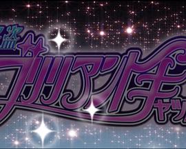 怪盗妙猫封面图