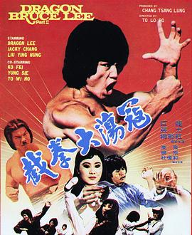 截拳大荡寇封面图