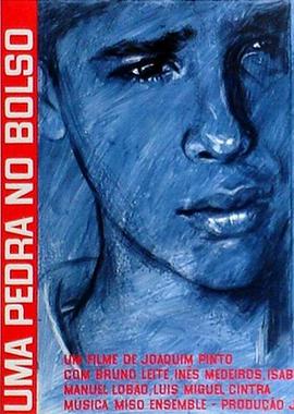 口袋里的石头封面图