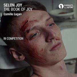 乔伊的故事封面图