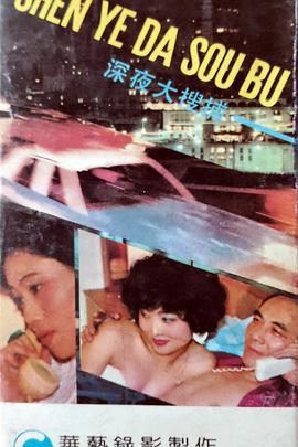 深夜大搜捕封面图