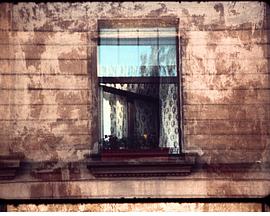 打开窗户封面图