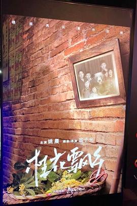 桂花飘乡封面图