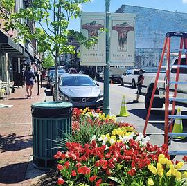 荷兰，密歇根封面图