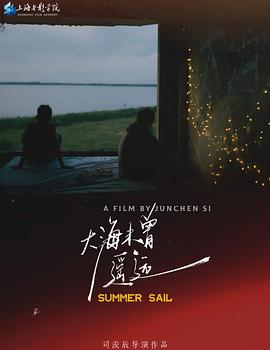 大海未曾遥远封面图