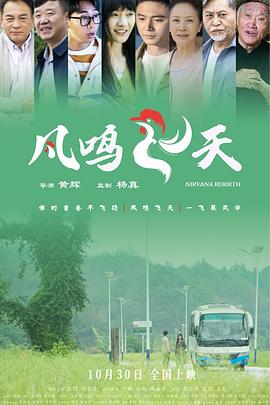 凤鸣飞天封面图