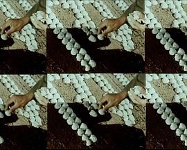 给T的信：核性使我们相连封面图