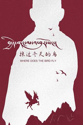 掠过冬天的鸟封面图