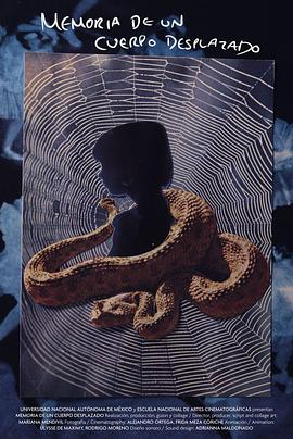 流离失所之人的记忆封面图