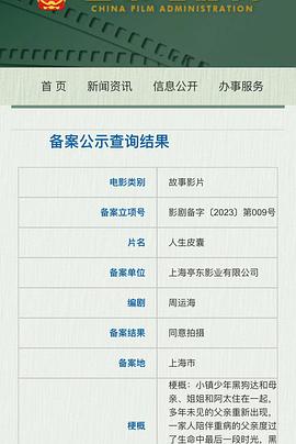 人生皮囊封面图