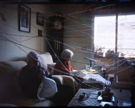 永恒之花封面图