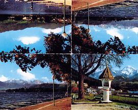 Mountain Trip封面图