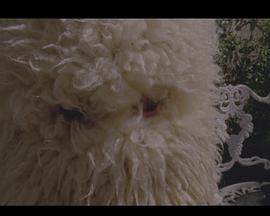 Leisure, Utopic封面图