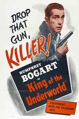 地下世界之王封面图