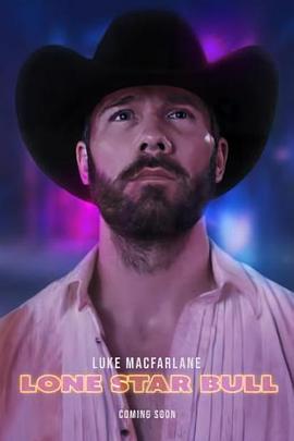 孤星布尔封面图