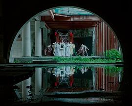 埋葬这秩序封面图