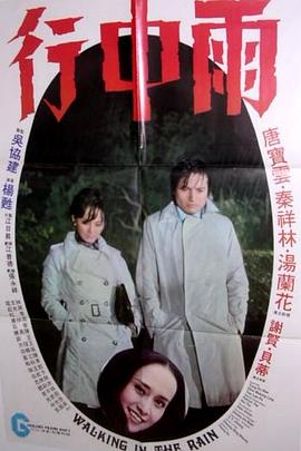 雨中行封面图