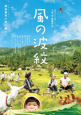 风之波纹封面图