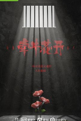 牵牛花开封面图