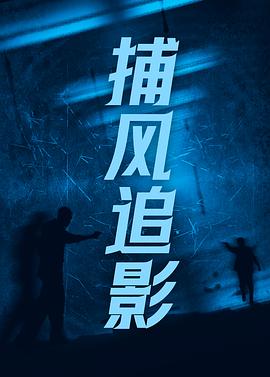 捕风追影封面图
