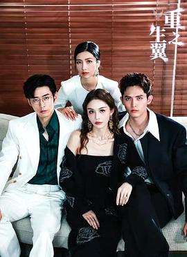 重生之翼封面图