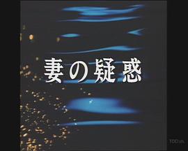 妻之疑惑封面图