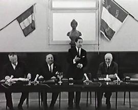 佩萨克的玫瑰树封面图