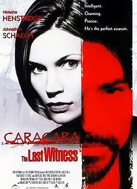 最后的证人封面图