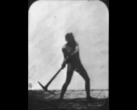 荡锄头的运动员封面图