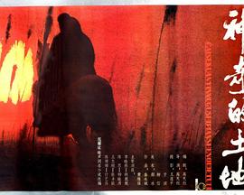 神奇的土地封面图