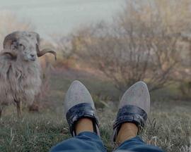 为奇迹做准备封面图