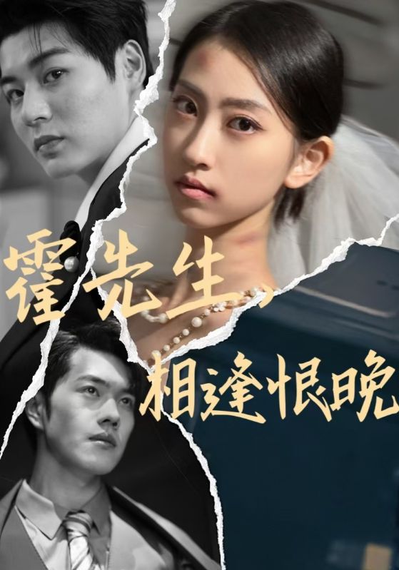 重生后我对霍总死缠烂打封面图