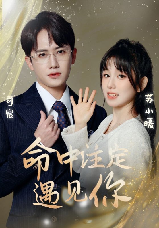 命中注定遇见你封面图