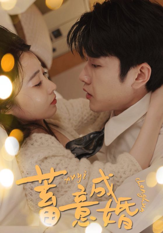 蓄意成婚封面图