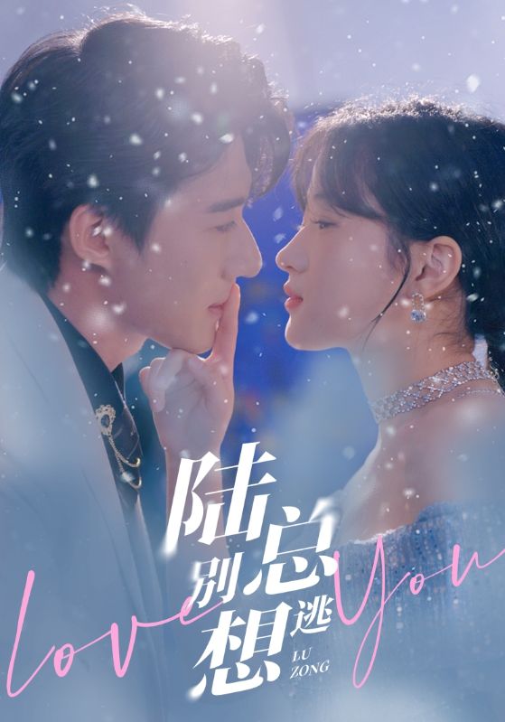 陆总别想逃封面图