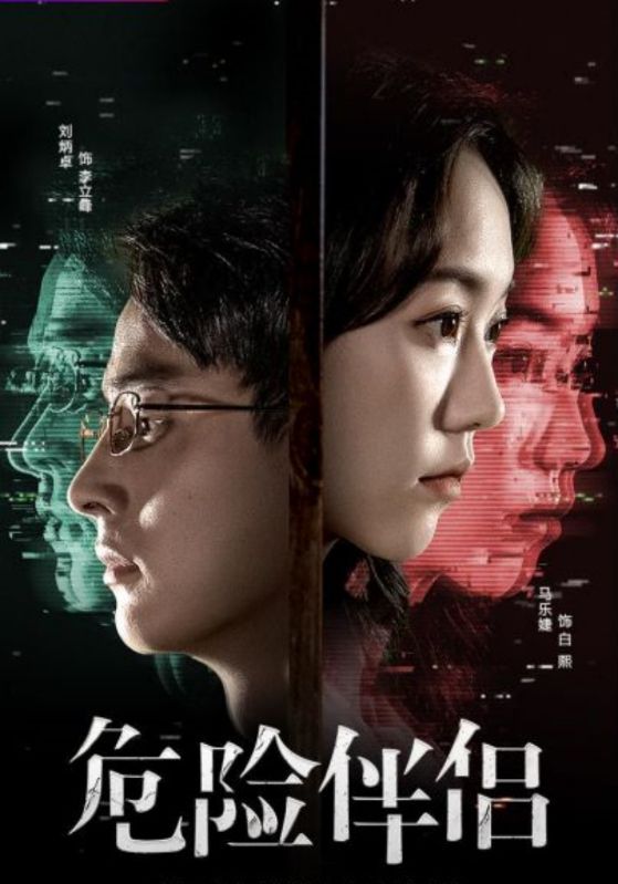 危险伴侣封面图
