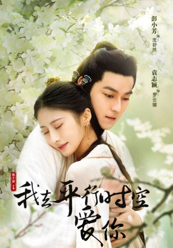 我去平行时空爱你封面图