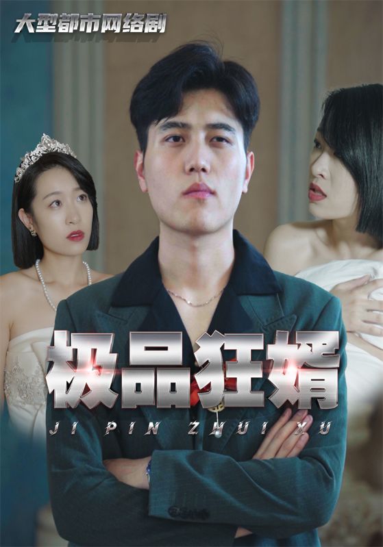 极品狂婿封面图