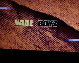 宽缝男孩封面图