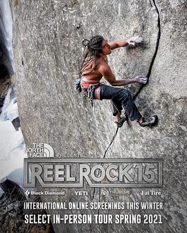 磐石传奇 15封面图